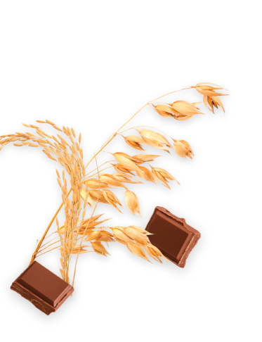 Pšenica i čokolada